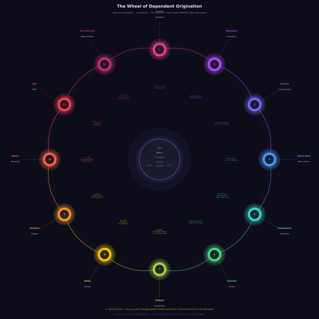 The Thirst That Doesn’t Know It’s Thirsty